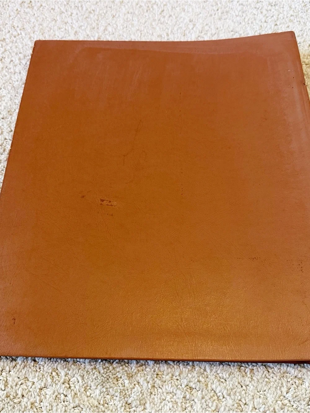 Deluxe Craft 1950’s Brown Photo Album Vintage Floral Border NEW USA 12 x 12 Inch